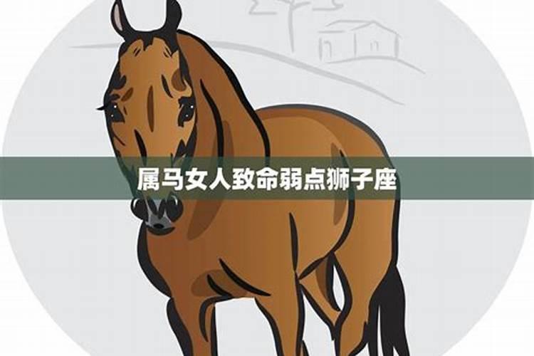 如何伤害狮子女