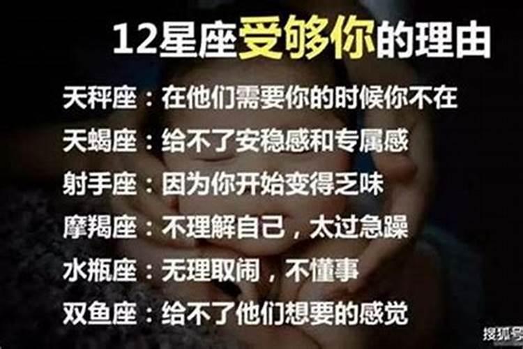 天蝎座会原谅出轨的人吗女