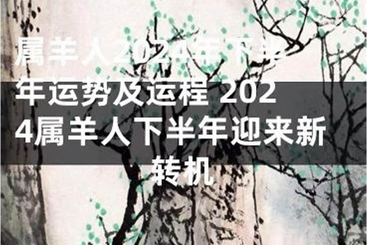 属羊的2024年下半年运势运程