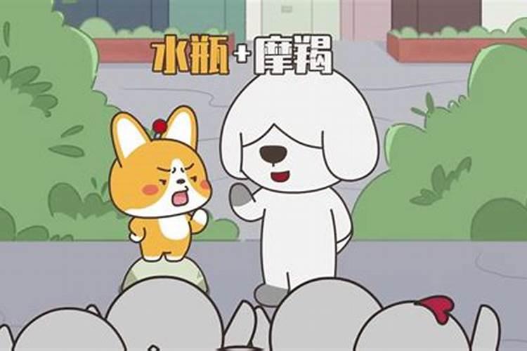 最强组合星座