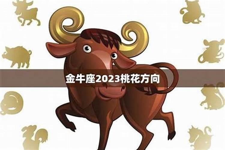 2024金牛座下半年事业运很惨