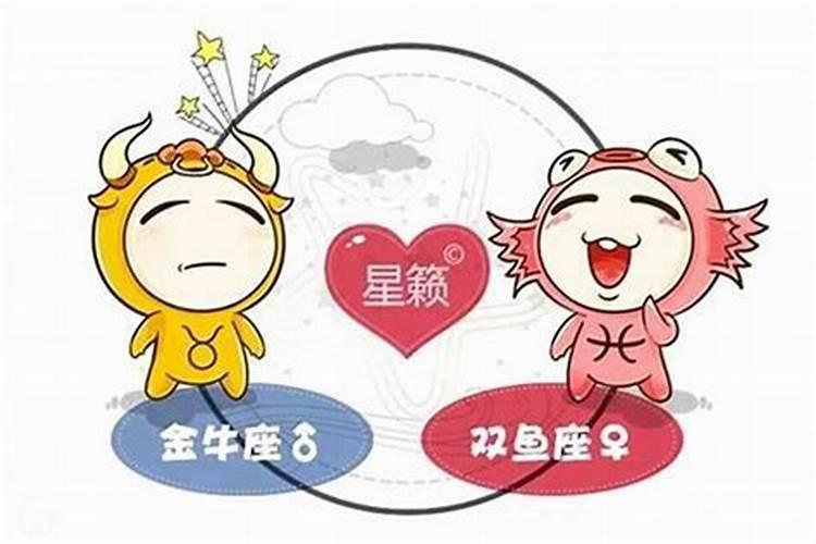 金牛座适合找什么样的女朋友