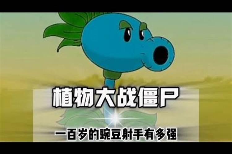 知道豌豆射手