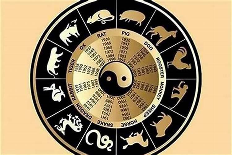 结婚了星座不配怎么办