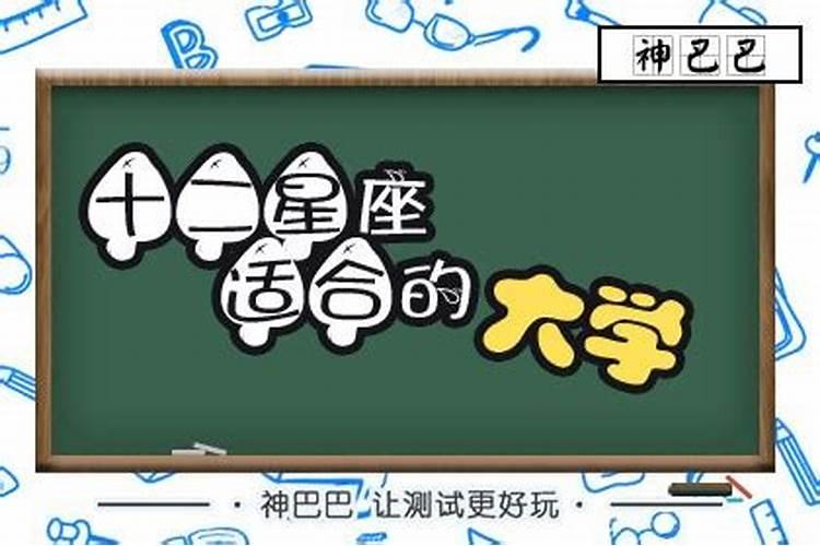 十二星座适合上什么样的大学