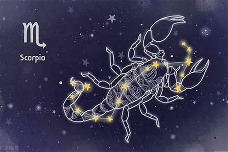 天蝎男的红颜知己是什么星座