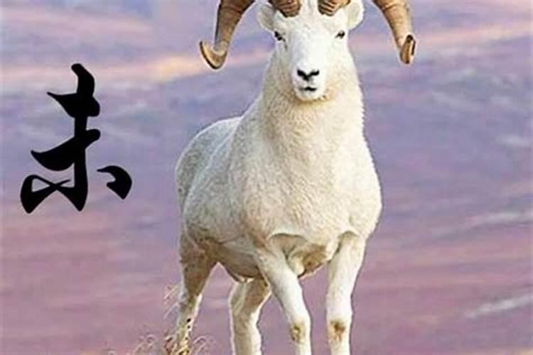 属羊的人2024年运程