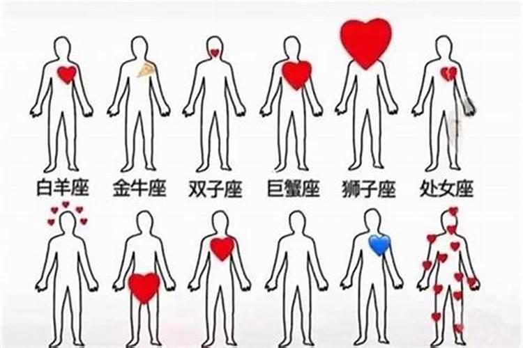 心特别软的星座
