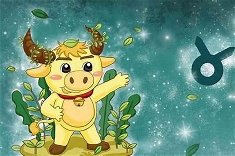 属兔金牛座的致命弱点