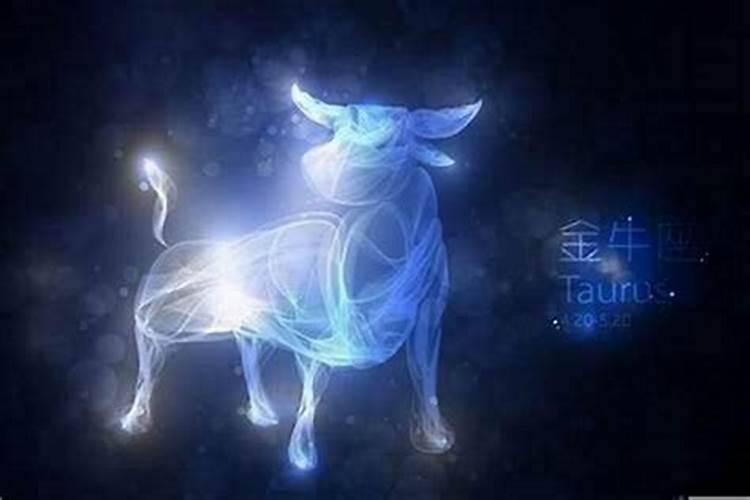 怎么才能让金牛座的男生喜欢自己