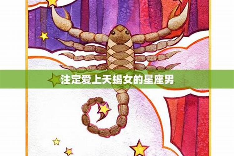 天蝎男注定爱上哪个星座