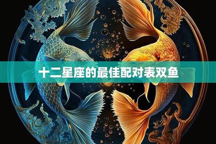 双鱼座和十二星座谁最般配