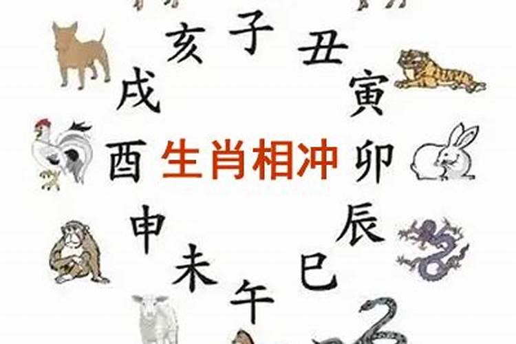 2024年11月18日属什么生肖