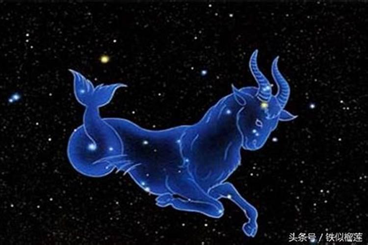 脾气很爆的星座