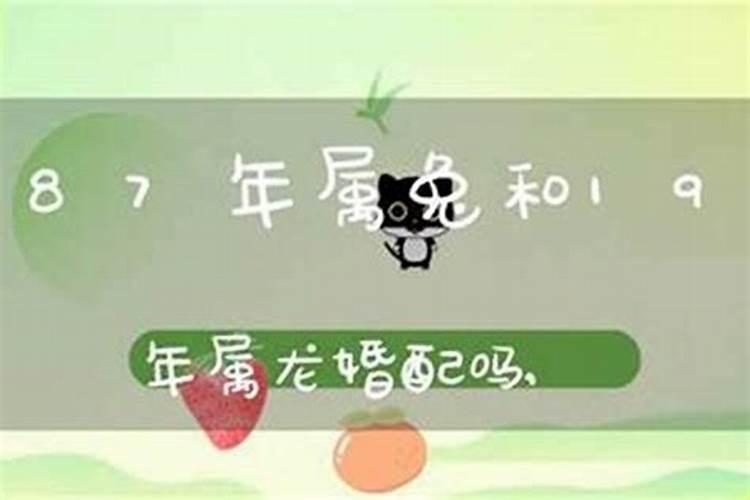 1987年是龙年吗