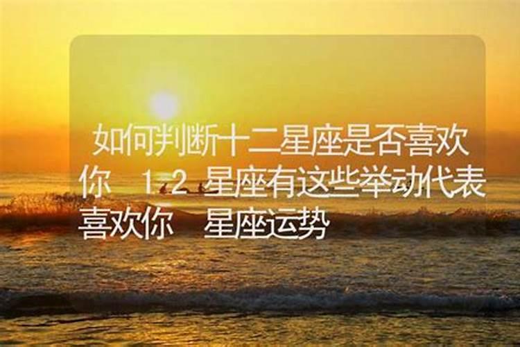 怎样看出12星座喜欢你