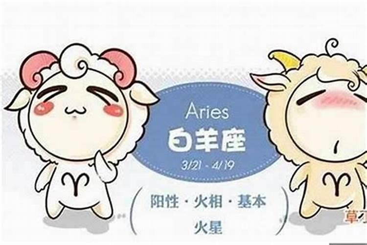 如何撩白羊座男