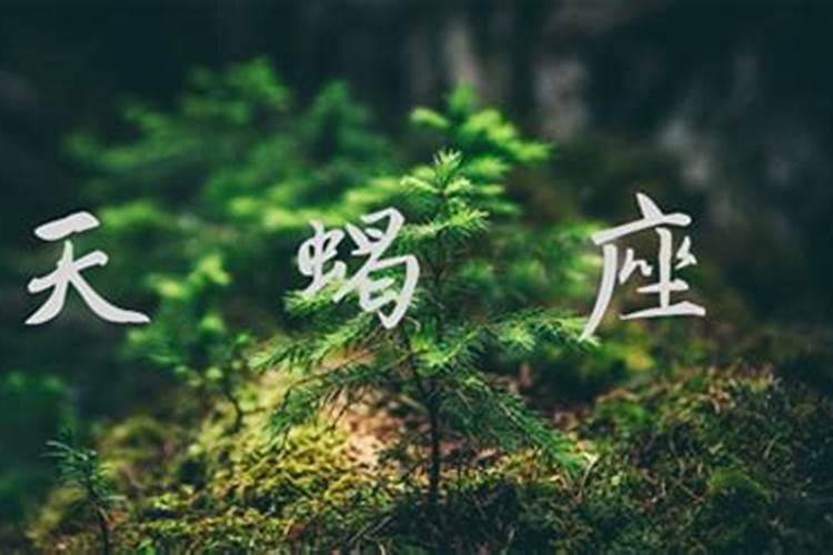 天蝎座运势2024年与整体运势