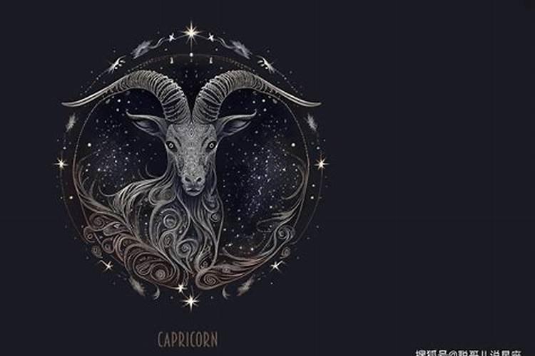 领导最喜欢的星座