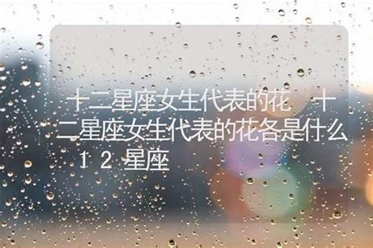 12星座的代表花朵是什么？