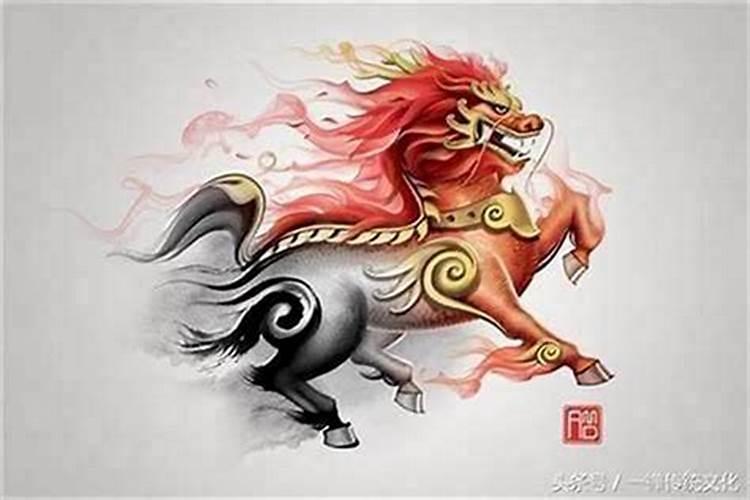 66年的马是什么星座