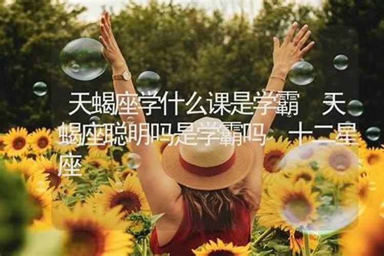 天蝎座的人是学霸吗