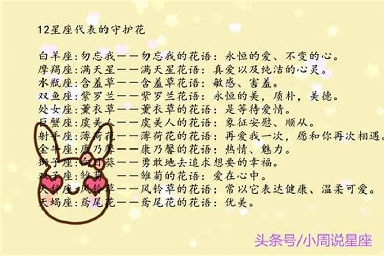 什么花是双子座的守护花图片