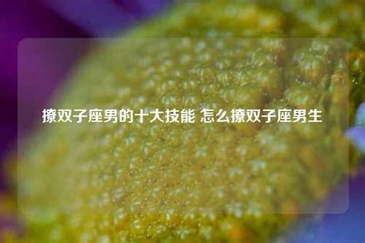 如何撩双子座的男生