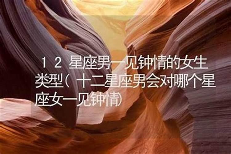 12星座男一见钟情的女生类型