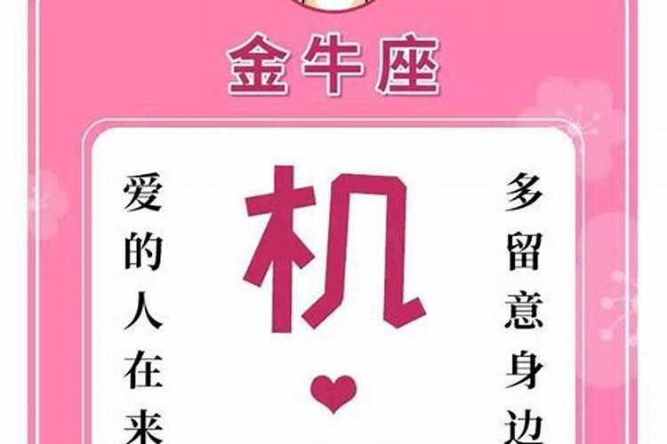 十二星座谁的桃花运