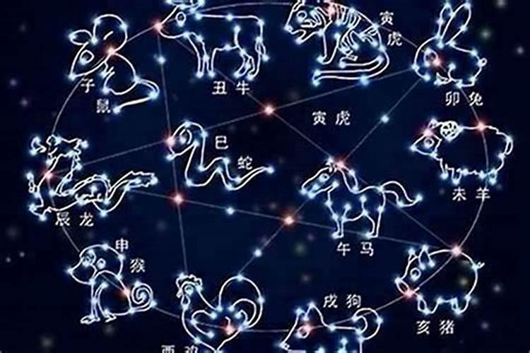属牛的巨蟹座女生长得怎么样