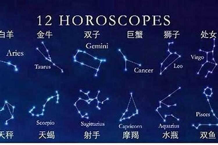 12星座和哪个星座最搭配