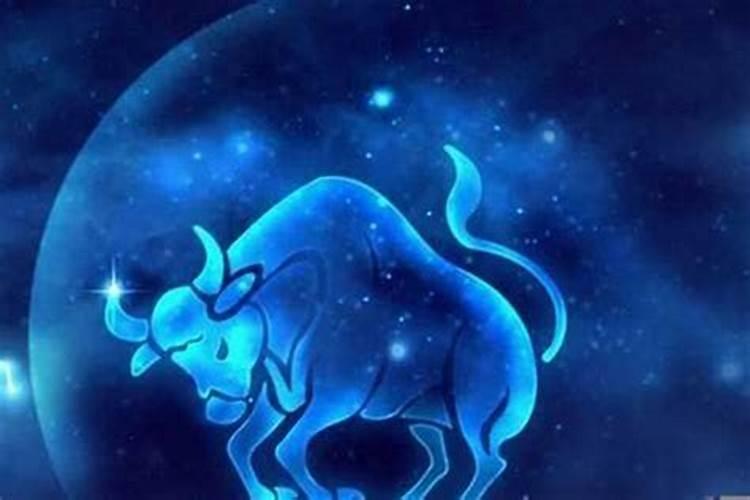 金牛座不回信息是什么意思