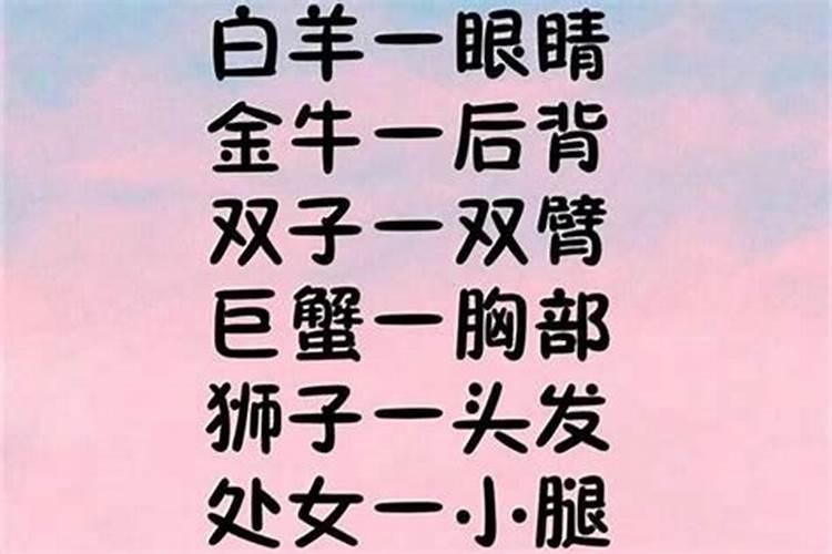 金牛座今天适合穿什么衣服