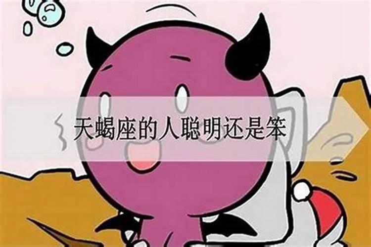 天蝎座的男人聪明吗
