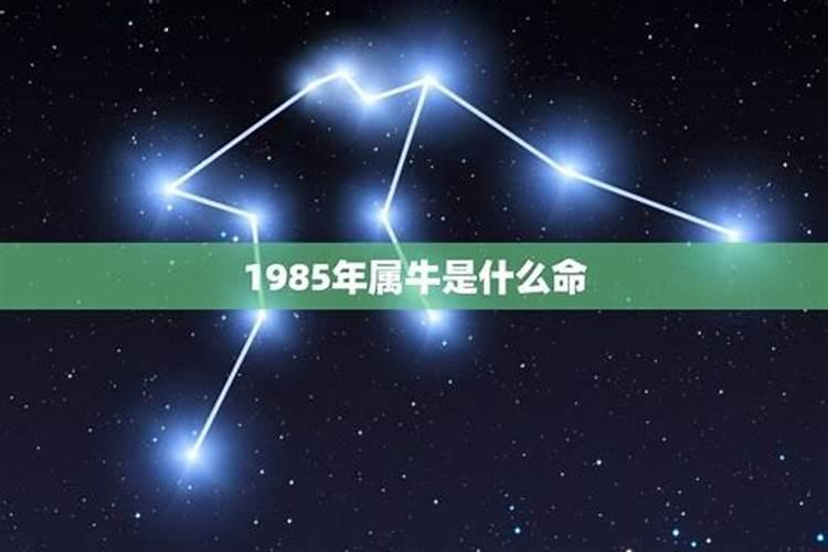 1985年属牛的是什么星座8月26