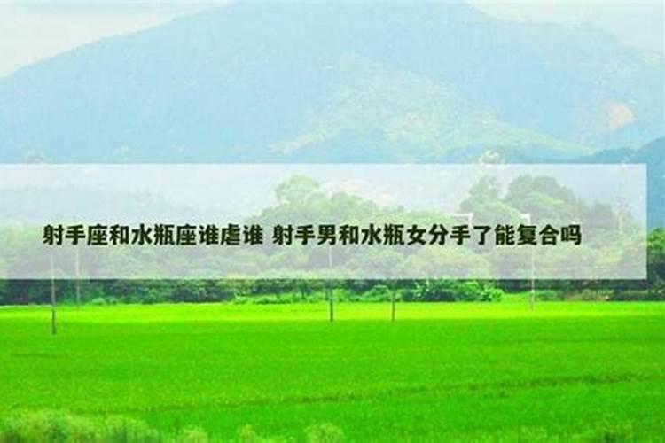 射手座水瓶座谁厉害