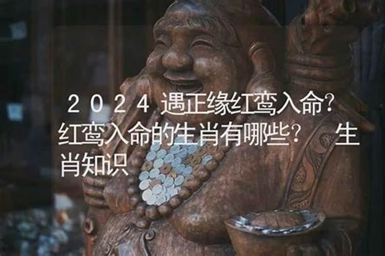 2024年红鸾入命的生肖