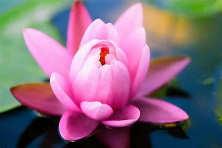 7天之后，四大星座轻财好施，善于表达，纸醉金迷