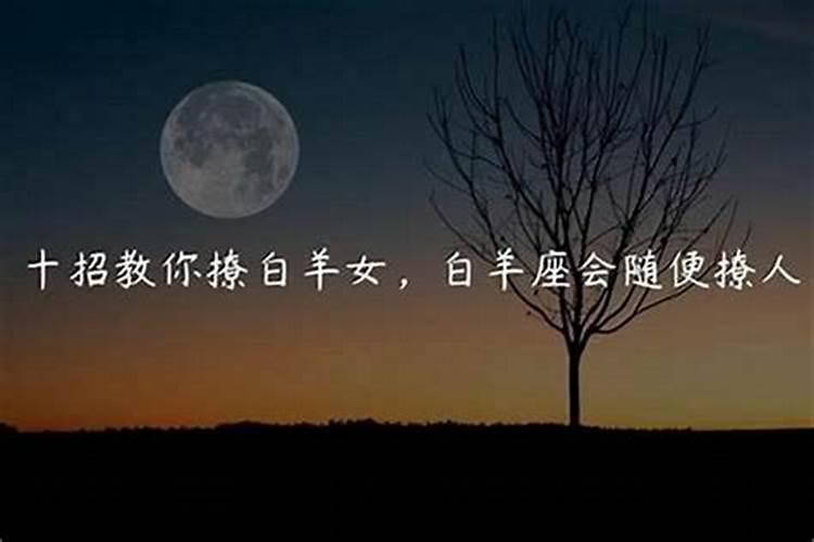 对于白羊男应该主动吗