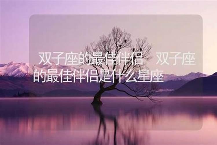 双子女的最佳伴侣