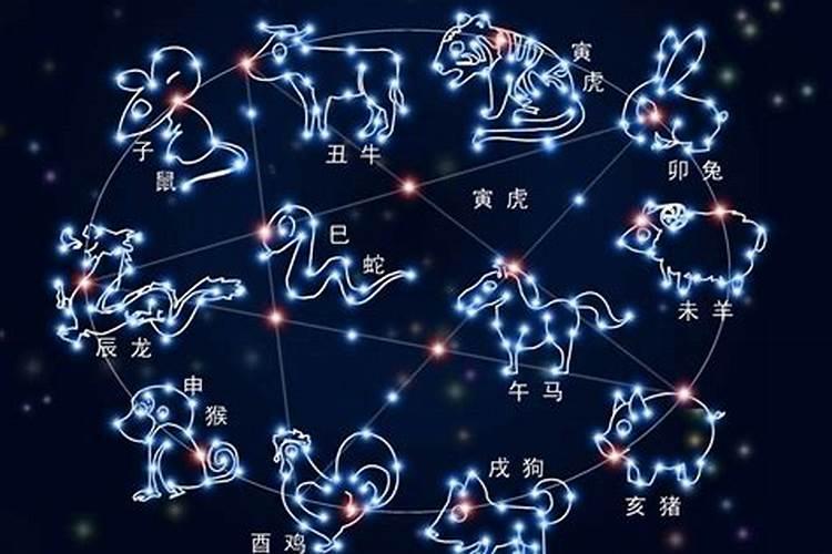 除12星座外的星座