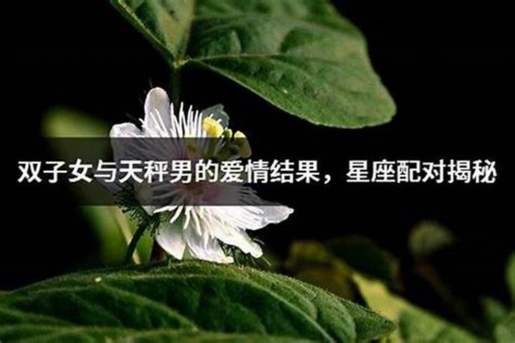 双子女与天秤男的爱情结果