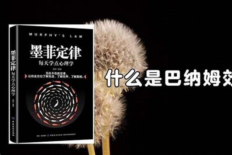 为什么会觉得星座准什么定律