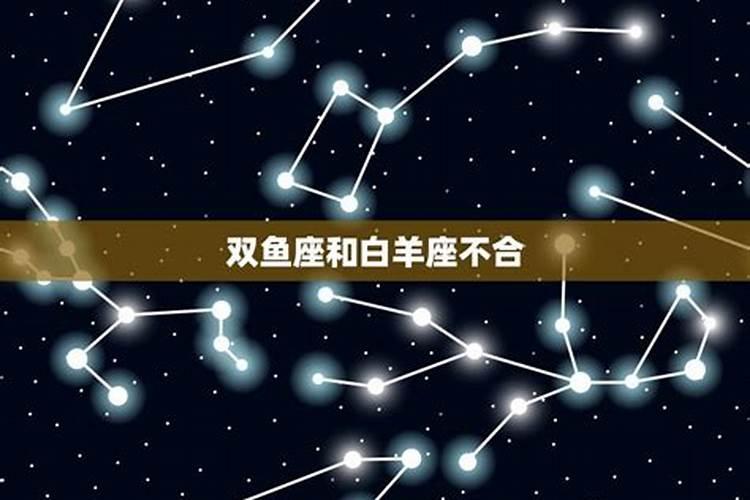 天蝎和双鱼座合不合