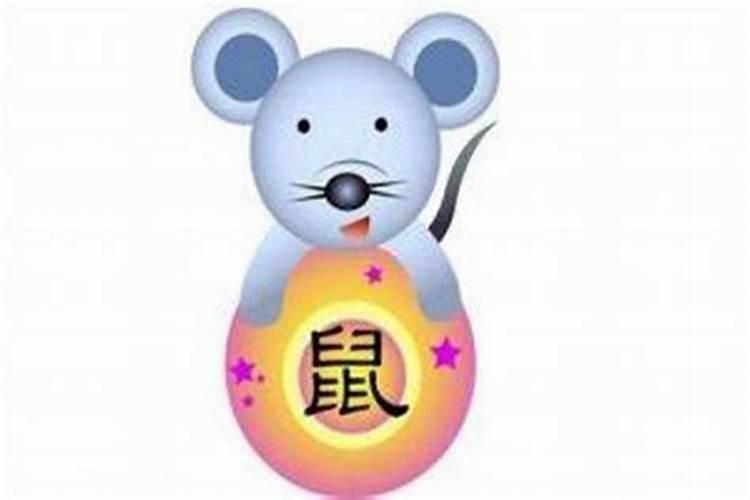 属鼠人在2024年的运势怎么样？