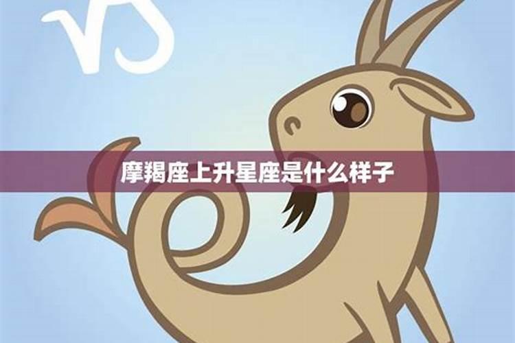 摩羯座的上升星座是什么？