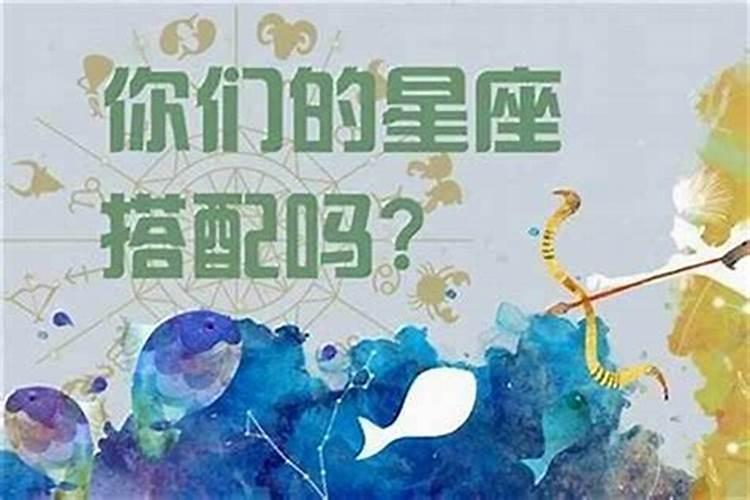 双鱼座和射手座配不配？
