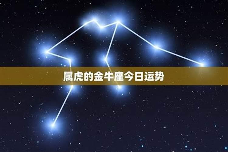 属虎的金牛座的命运