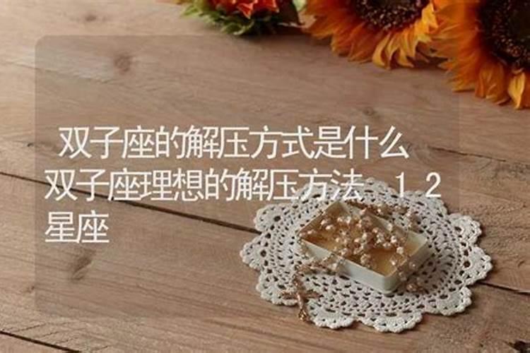 双子座的理想是什么